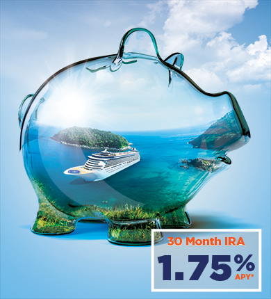 IRA Graphic 30 Month