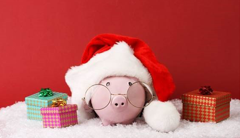 Holiday Debt Pig