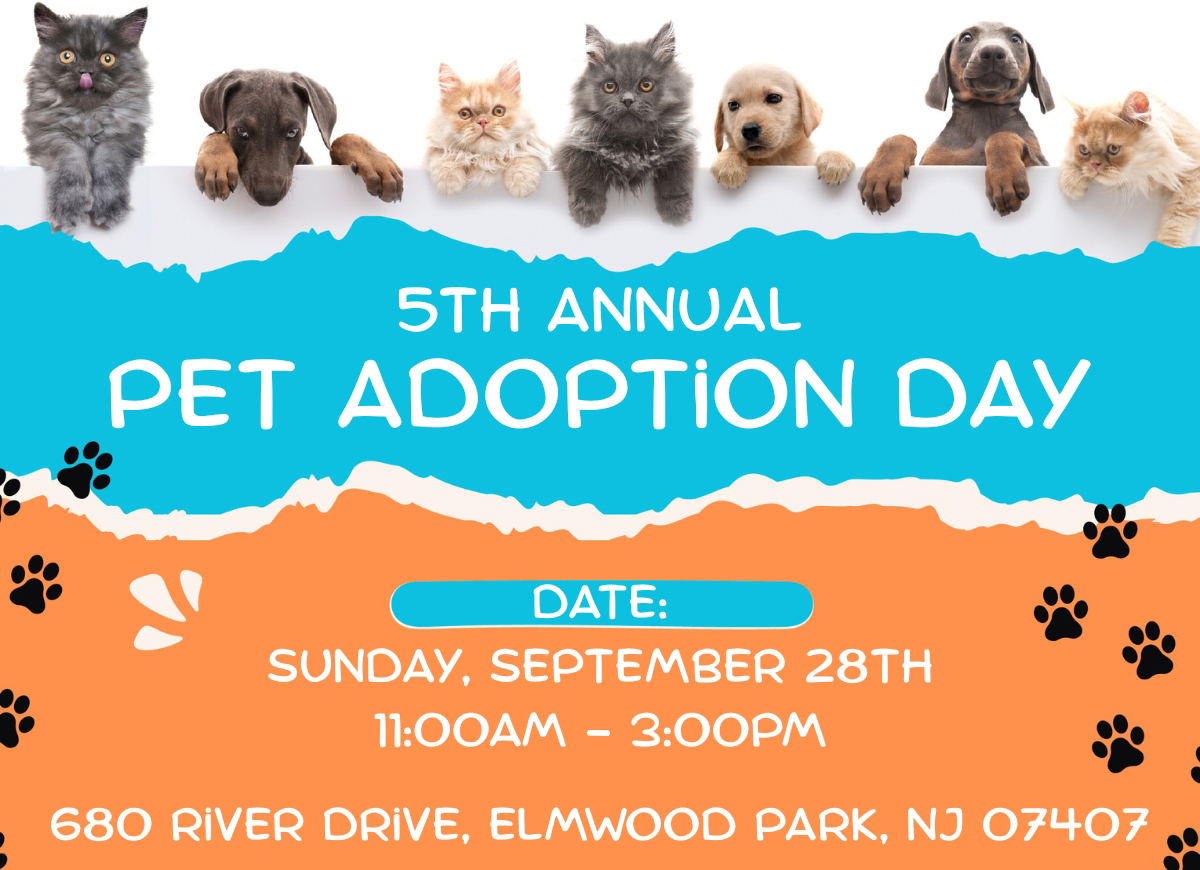 Pet Adoption Day