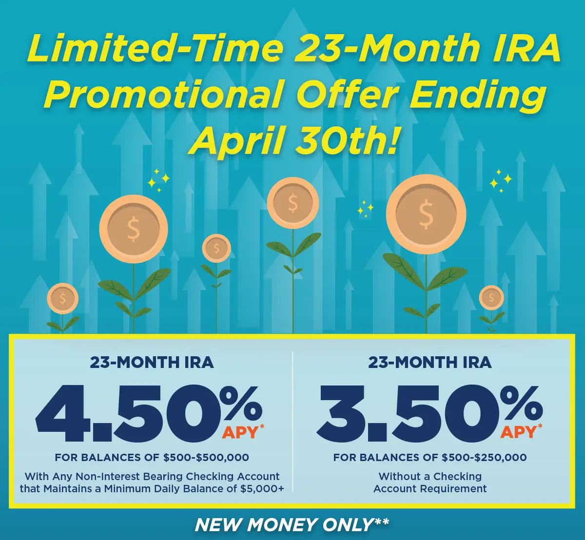 IRA Rate Box