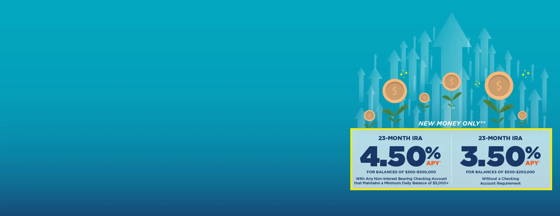 IRA Promotional Slider